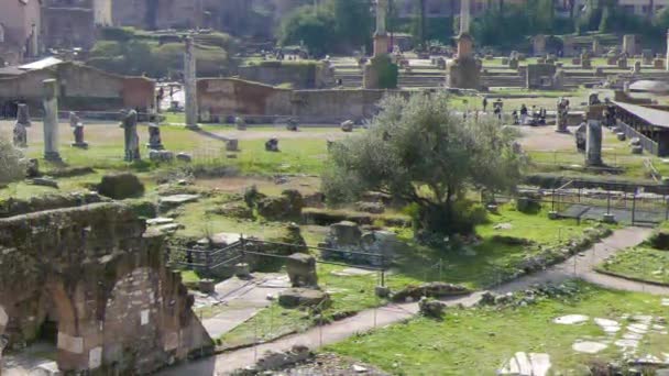 Efeito Falha Ruínas Fórum Romano Roma Itália Vídeo Ultrahd — Vídeo de Stock