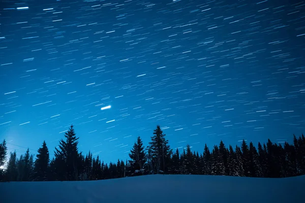 Starry sky in the background of fir trees. Moon rise. Leave trac — Stock Photo, Image
