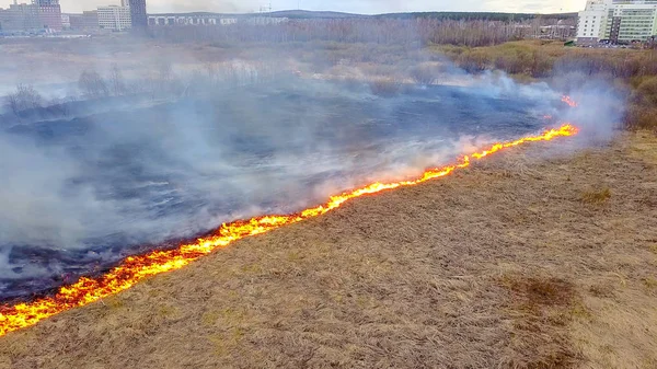 Ein großes Feuer. das trockene Gras brennt. Viel Rauch. ekaterinburg, russland, von dron — Stockfoto