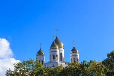 Rusya, Kaliningrad: Katedral Mesih'in Savior. Zafer Squi