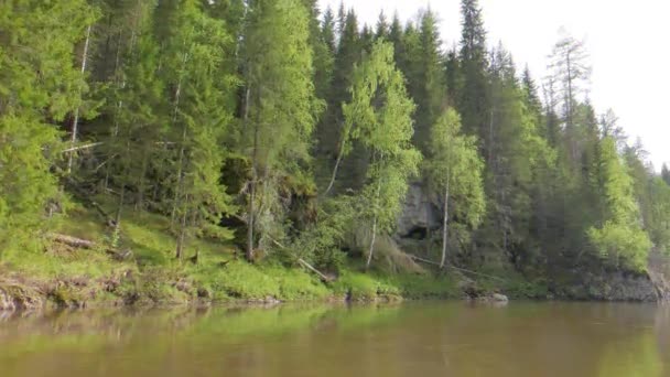 Effet scintillant. Journée ensoleillée. La rivière Serga, Russie. Vidéo. UltraHD (4K )