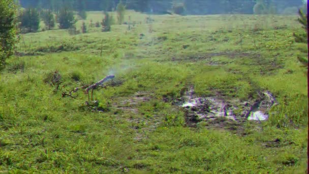 闪烁的效果 田野上的篝火森林路 俄罗斯 Ultrahd — 图库视频影像