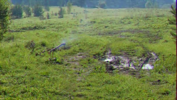 Efecto Fallo Técnico Hoguera Campo Camino Del Bosque Rusia Vídeo — Vídeos de Stock