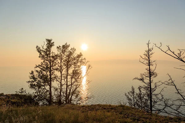 El sol poniente detrás de las ramas de los árboles sobre la bahía de Sm — Foto de Stock