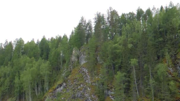 Efecto Fallo Técnico Pinos Las Rocas Río Serga Urales Rusia — Vídeo de stock