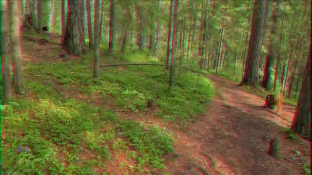 Glitch Effect Walking Trail Coniferous Forest Russia Video Ultrahd — Stock Video