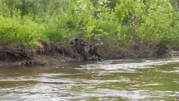 Αποτέλεσμα Δυσλειτουργίας Στην Όχθη Του Ποταμού Σέργκα Ουράλια Ρωσία Βίντεο — Αρχείο Βίντεο