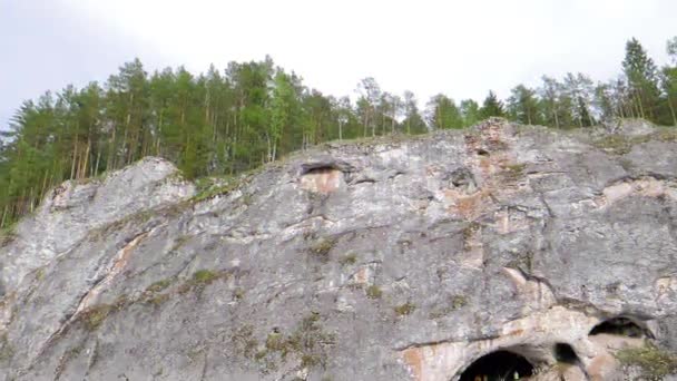 Efecto Fallo Técnico Árboles Roca Parque Deer Streams Rusia Vídeo — Vídeo de stock