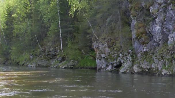 Glitch Effekt Bäume Auf Dem Felsen Wildbäche Park Russland Video — Stockvideo