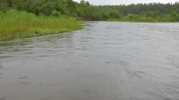 Efecto Fallo Técnico Playa Cubierta Hierba Río Serga Urales Rusia — Vídeos de Stock