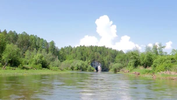 Efecto Fallo Técnico Cabeza Caballo Bebiendo Río Serga Región Sverdlovsk — Vídeos de Stock
