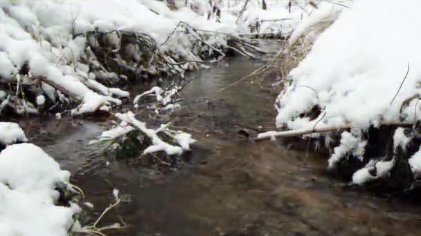 毛刺效果 雪中的小溪 下雪了 俄罗斯 超高清 — 图库视频影像