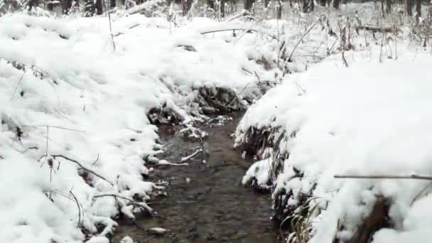 毛刺效果 雪下的小溪 俄罗斯 超高清 — 图库视频影像