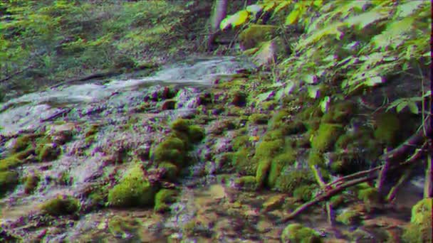 グリッチ効果 苔の川パノラマ サリー ウゼンクリミア ビデオ ウルトラHd — ストック動画