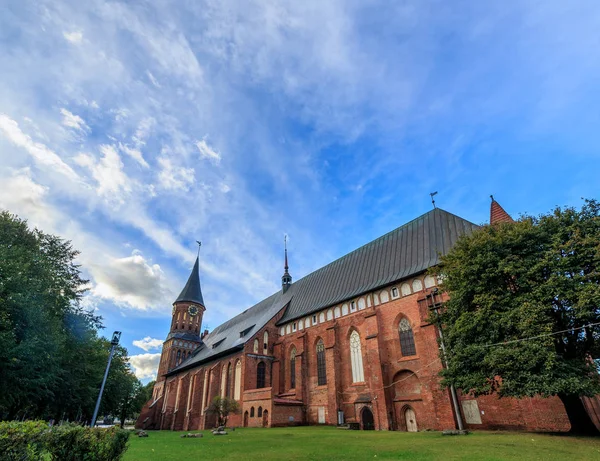 Centralna część miasta Kaliningrad, Kaliningrad Cat — Zdjęcie stockowe