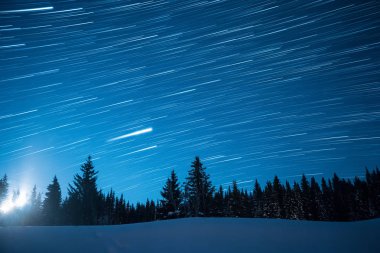 Yıldızlı gökyüzü çam ağaçları arka planda. Ay yükselişi. Trac bırakın