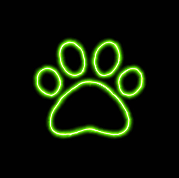 green neon symbol paw 