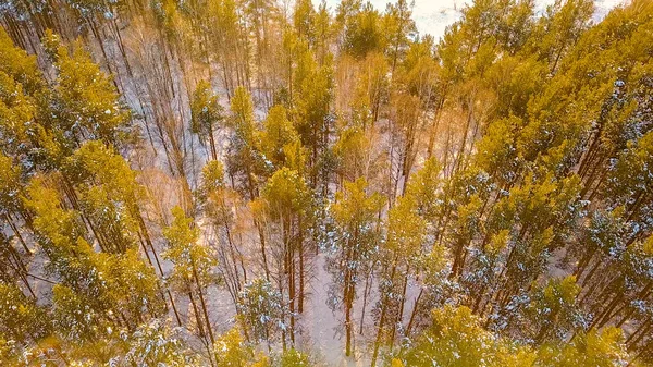Transição da floresta de inverno para o pôr do sol e uma aldeia coberta de neve. Inverno tempo claro, a partir de Drone — Fotografia de Stock