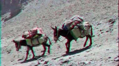 Pamir, Tazhikistan - 06 Ağustos 2014: Tacikistan dağlarında en popüler araçlar. Pass Alaudin (1a, 3700), üst. Glitch etkisi. 