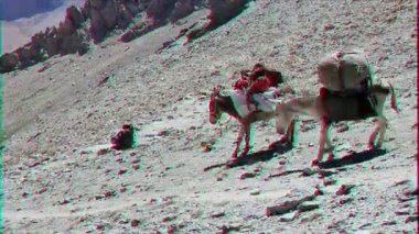 Pamir, Tazhikistan - 06 Ağustos 2014: Tacikistan dağlarında en popüler araçlar. Pass Alaudin (1a, 3700), üst. Glitch etkisi. 