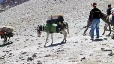 Pamir, Tazhikistan - 06 Ağustos 2014: Tacikistan dağlarında en popüler araçlar. Pass Alaudin (1a, 3700), üst. Glitch etkisi. 