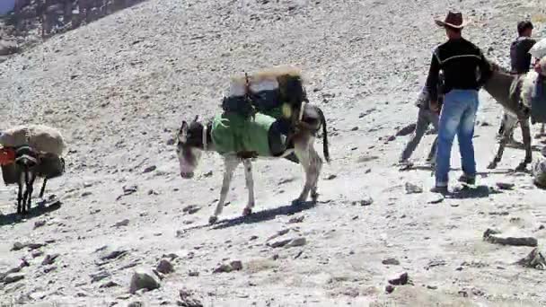 Pamir Tazhikistan Ağustos 2014 Tacikistan Dağlarında Popüler Araçlar Pass Alaudin — Stok video