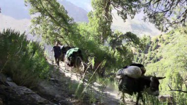 Pamir, Tazhikistan - 04 Ağustos 2014: Tacikistan dağlarında en popüler araçlar. Uluslararası Alpinistskkogo kampı Dikey geçiş Laudan tırmanış. Glitch etkisi. 