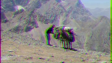 Pamir, Tazhikistan - 06 Ağustos 2014: Tacikistan dağlarında en popüler araçlar. Pass Alaudin (1a, 3700), üst. Glitch etkisi. 