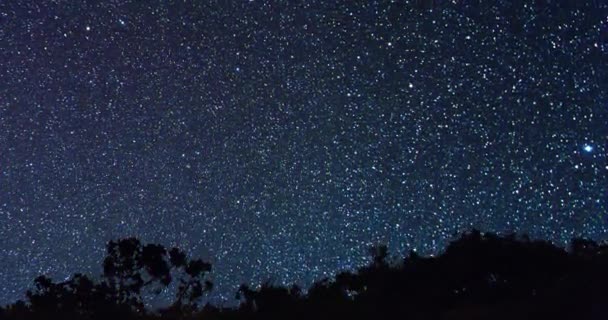 Efeito Falha Láctea Aparece Por Trás Das Árvores Time Lapse — Vídeo de Stock