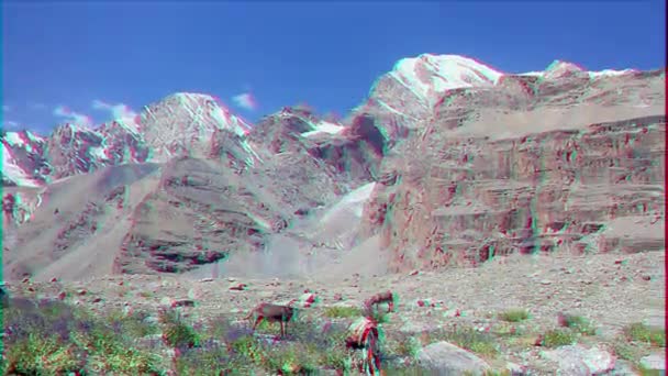 Glitch Effect Donkeys Grazing Mountains Panorama Pamir Tajikistan Video — Stock Video