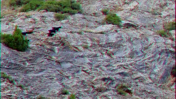 毛刺效果 岩石上的羊 帕米尔 塔日基斯坦延时 — 图库视频影像