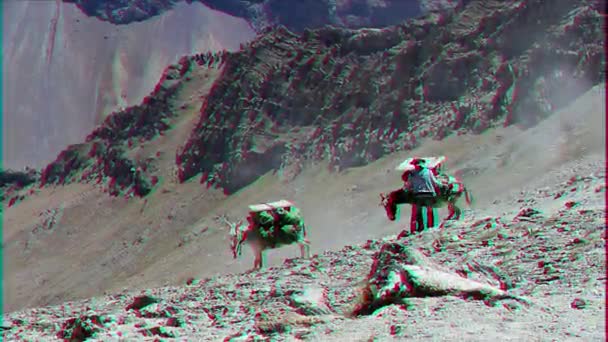 Pamir Tazhikistán Agosto 2014 Los Vehículos Más Populares Las Montañas — Vídeos de Stock