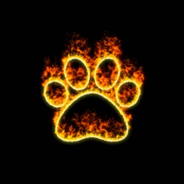 The symbol paw burns in red fire  clipart