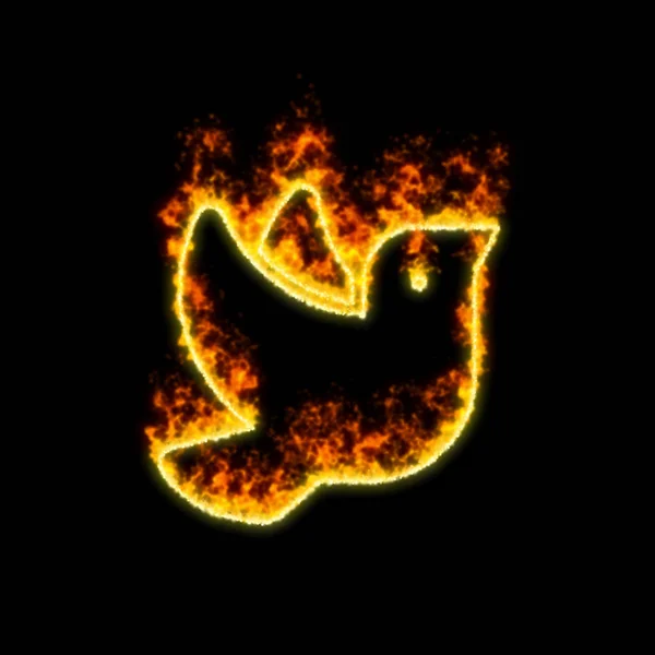 Simbol merpati terbakar dalam api merah — Stok Foto