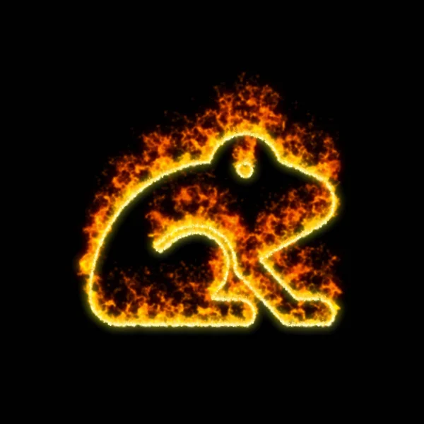 Sembol kurbağa kırmızı ateşte yanıyor — Stok fotoğraf
