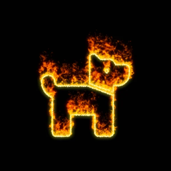 Le chien symbole brûle dans le feu rouge — Photo