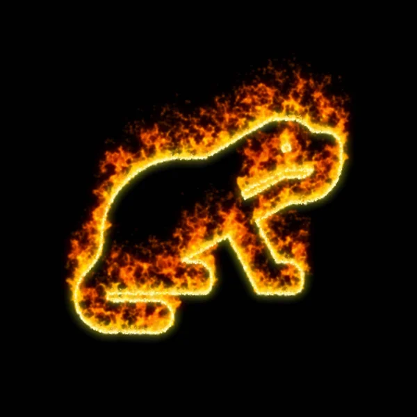 El símbolo nutria arde en fuego rojo — Foto de Stock