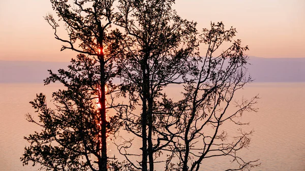 Rusia, Danau Baikal, Pulau Olkhon, Matahari terbenam di cabang-cabang — Stok Foto