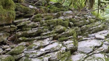 Aksaklık etkisi. Riverbank Psakho, Sochi, Rusya. Video. Ultrahd (4k))