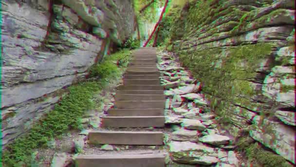 Glitch Effect Stone Stairs Yew Tree Grove Sochi Russia Video — Stock Video