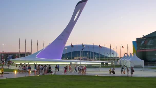Ефект Глюка Головний Олімпійський Факел Сочі Росія Липня 2015 Місце — стокове відео