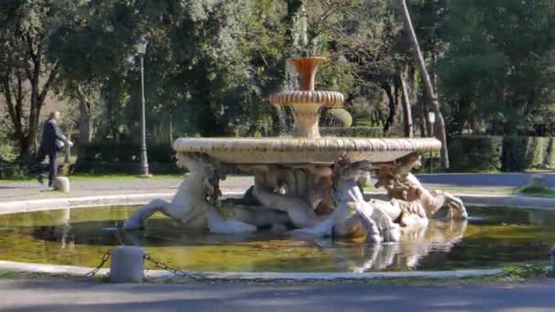 グリッチ効果 ファウンテンカヴァリマリニヴィラボルゲーゼ庭園 ローマ イタリア 2月17 2015 ピンシオヒルを占有する英語スタイルのローマの風景公園 ビデオ ウルトラHd — ストック動画