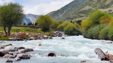 Aksaklık etkisi. Dağ nehri Chon-Ak-Suu. Grigoriev Geçidi. Issyk Kul Gölü. Kırgızistan. Video. Ultrahd (4k))