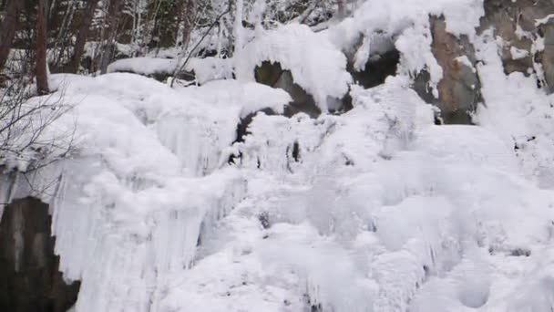 Effet Scintillant Ruisseau Gelé Vidéo Ultrahd — Video