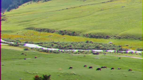 毛刺效果 卡车在山路上行驶 阿克苏 格里戈里耶夫峡谷伊塞克库尔湖 吉尔吉斯斯坦 超高清 — 图库视频影像