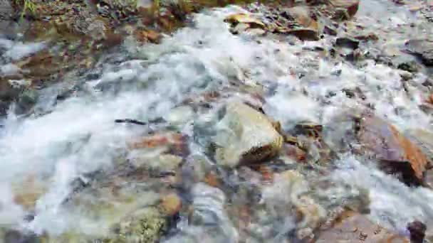 毛刺效果 水从照相机上流过岩石 吉尔吉斯斯坦伊塞克 阿塔山谷 超高清 — 图库视频影像