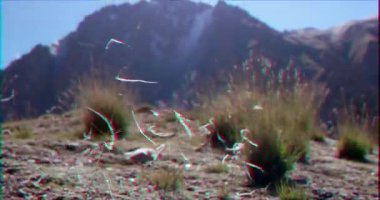 Aksaklık etkisi. Kar ile dağların bir arka plan üzerinde kuru çim. Barskoon Geçidi. Issyk Kul bölgesi, Kırgızistan. Video. Ultrahd (4k))