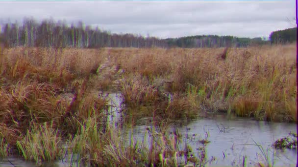 毛刺效果 冰冻的沼泽 在滑块上移动 俄罗斯 超高清 — 图库视频影像