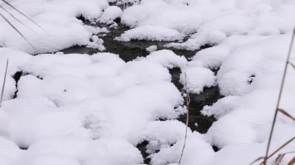 毛刺效果 雪中的小溪 超高清 — 图库视频影像