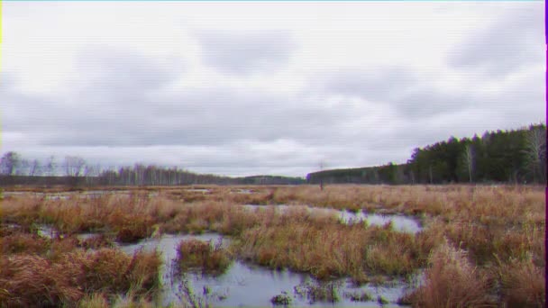 Glitch Effekt Träsket Molnigt Rörelse Reglaget Ryssland Video Ultrahd — Stockvideo